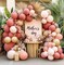 Dusty Pink Brown Balloon Garland Nude Tan Pink Rose Gold Metallic Double Stuffed Dusty Rose Mauve Blush Beige Balloon Arch Kit for Baby Shower Birthday Bridal Wedding Party Decoration